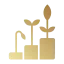 Yield Farming