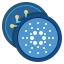 Cardano