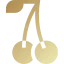 Random Number Generation (RNG) Algorithm
