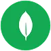 MongoDB
